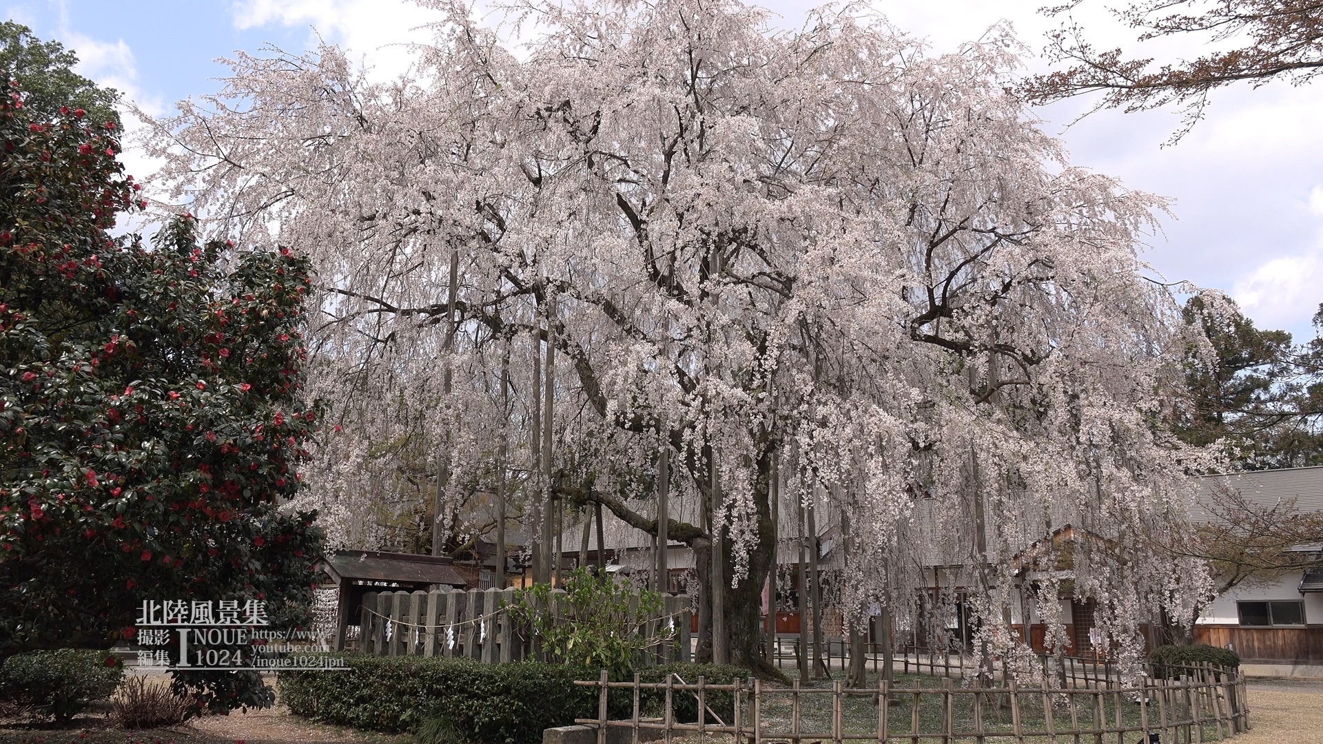 f:id:inoue1024:20200312004247j:plain