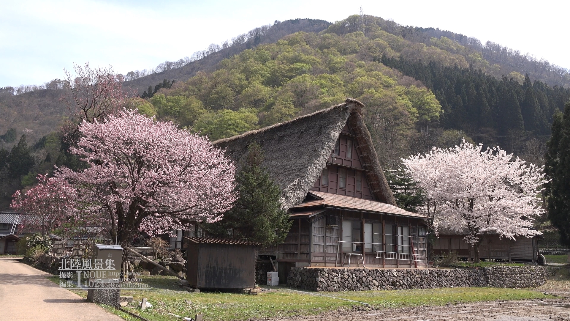 f:id:inoue1024:20200312004307j:plain