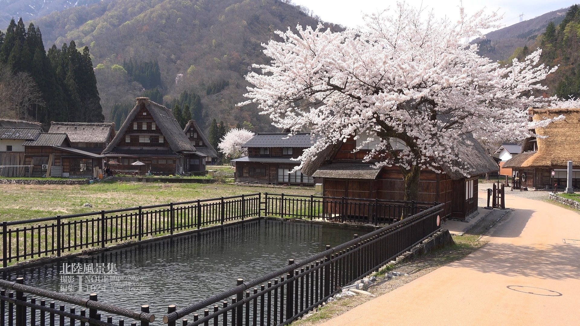 f:id:inoue1024:20200312004327j:plain