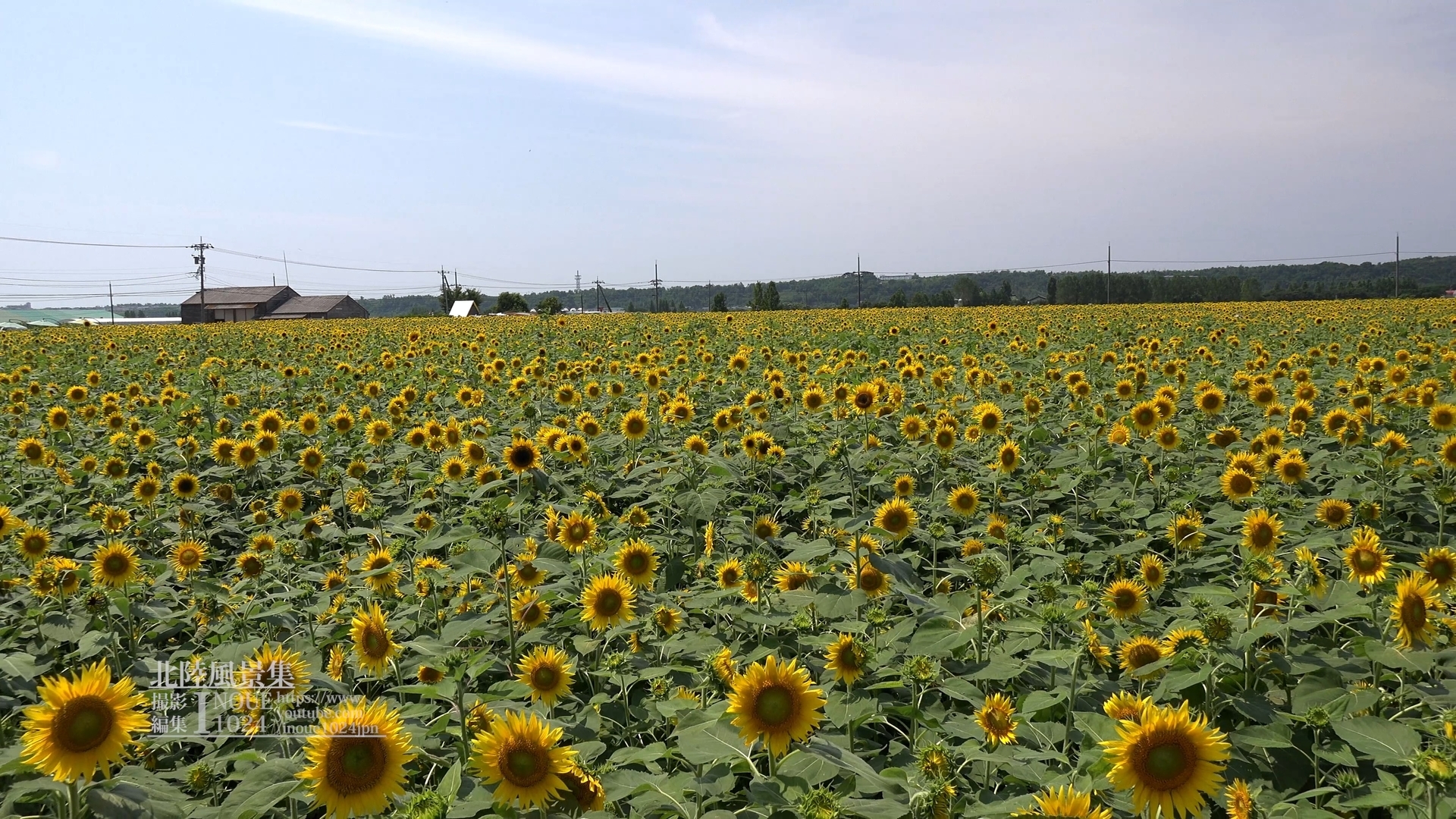 f:id:inoue1024:20200312005039j:plain f:id:inoue1024:20200312005039j:plain