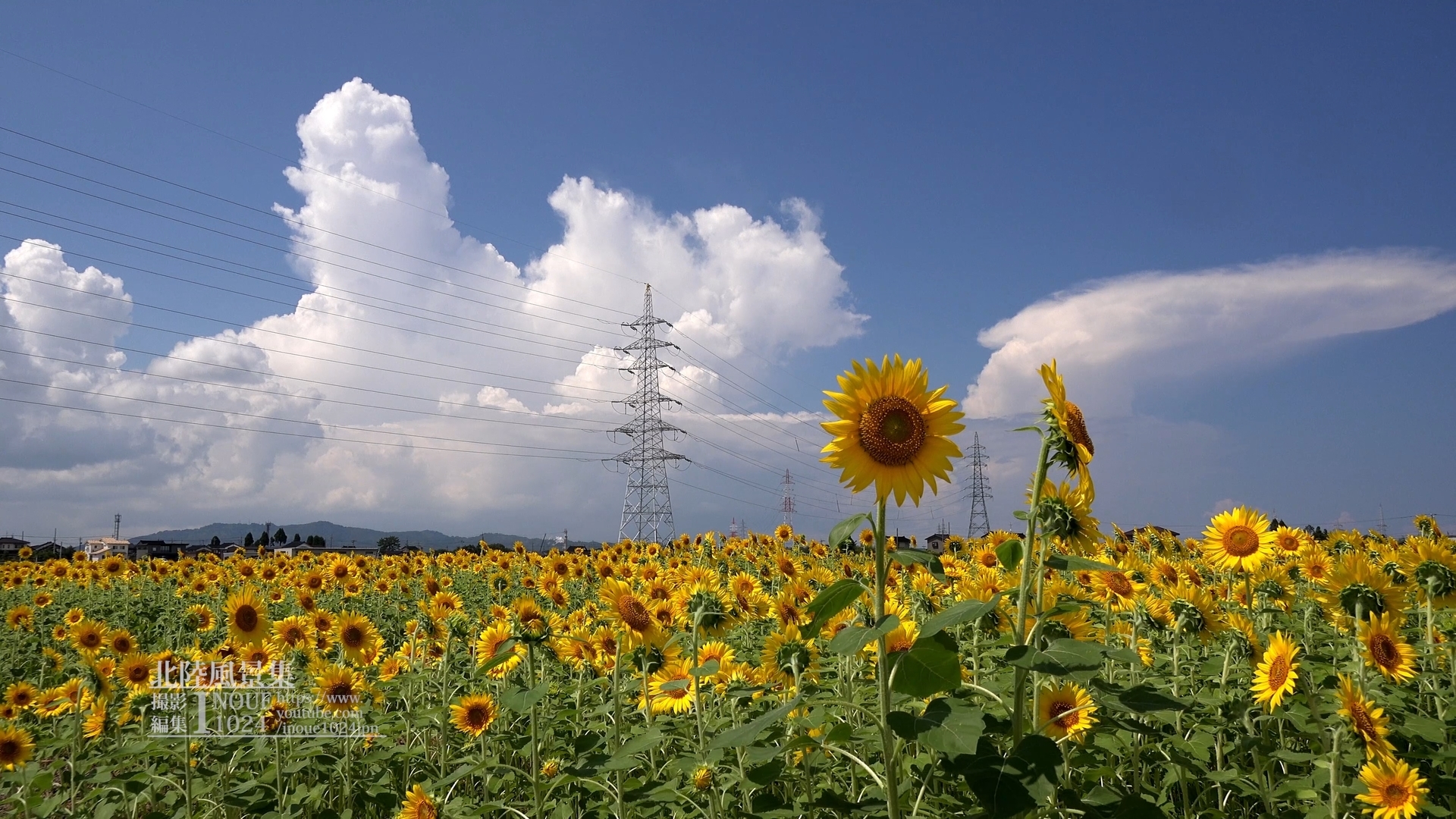 f:id:inoue1024:20200312005048j:plain f:id:inoue1024:20200312005048j:plain