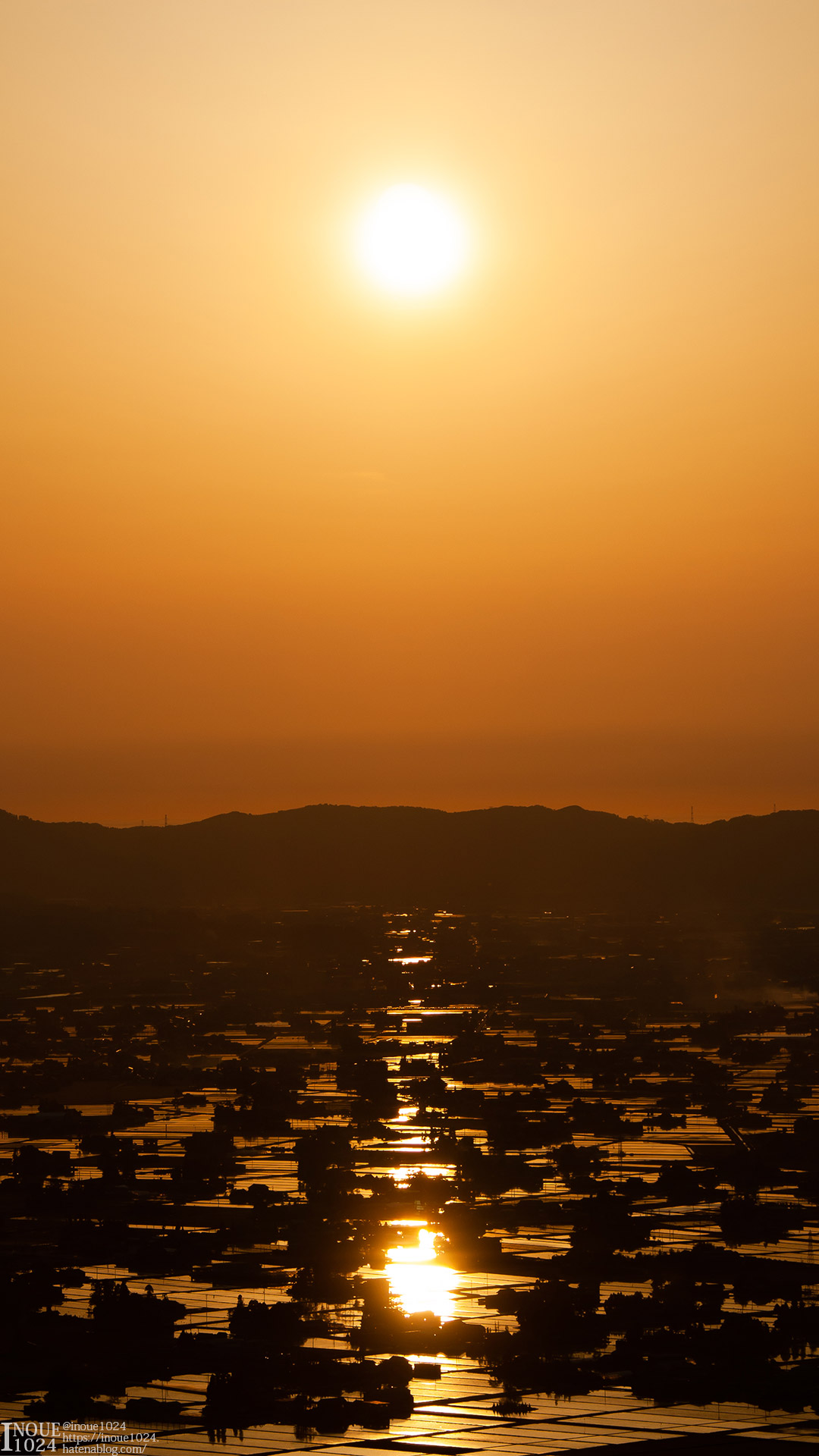 f:id:inoue1024:20200714235104j:plain f:id:inoue1024:20200714235104j:plain