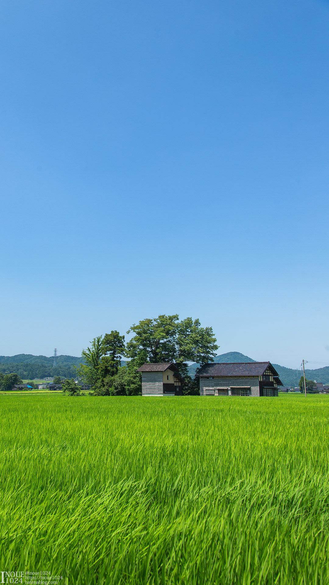 f:id:inoue1024:20200714235109j:plain f:id:inoue1024:20200714235109j:plain