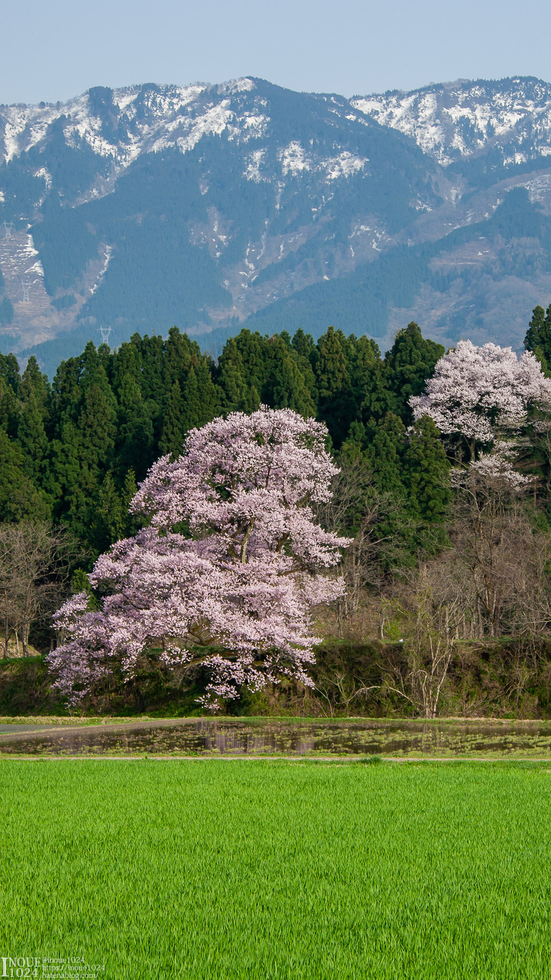 f:id:inoue1024:20200714235125j:plain f:id:inoue1024:20200714235125j:plain