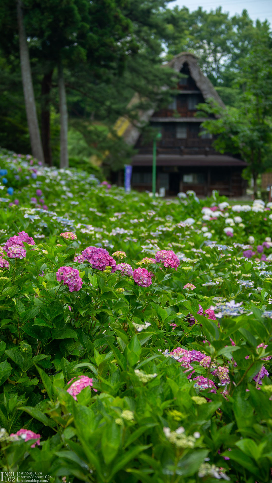 f:id:inoue1024:20200715004028j:plain f:id:inoue1024:20200715004028j:plain