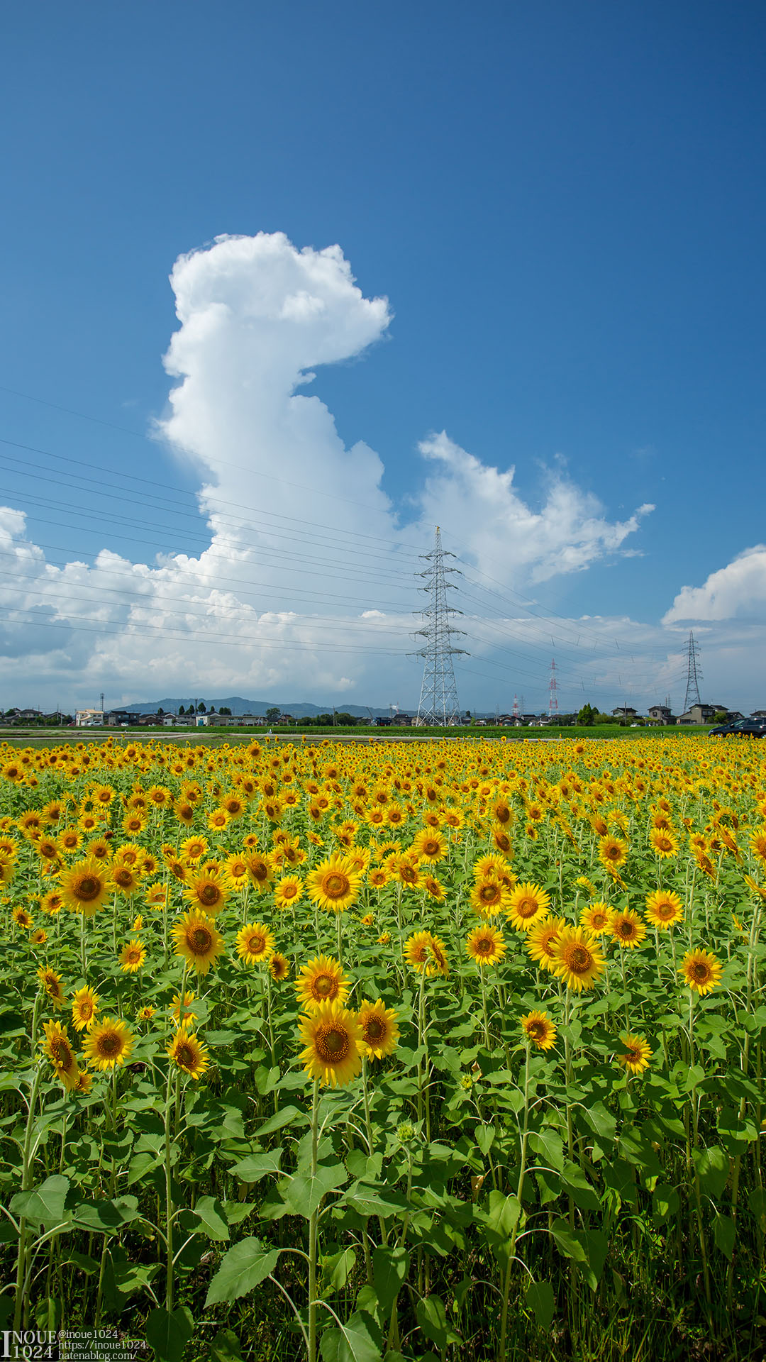 f:id:inoue1024:20200715004033j:plain f:id:inoue1024:20200715004033j:plain