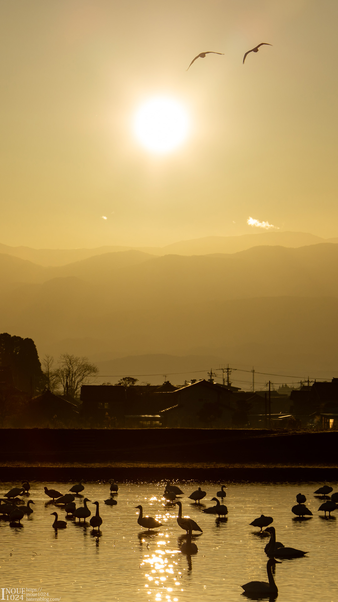 f:id:inoue1024:20210101001721j:plain