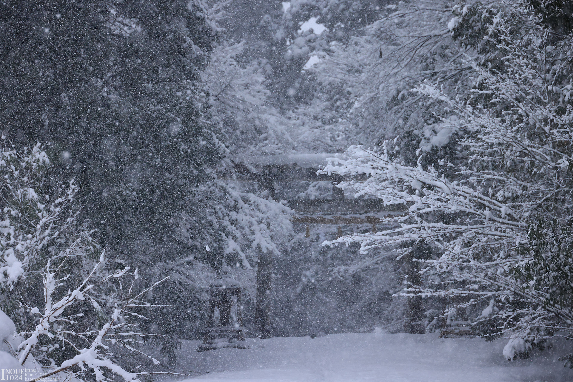 f:id:inoue1024:20210217194000j:plain