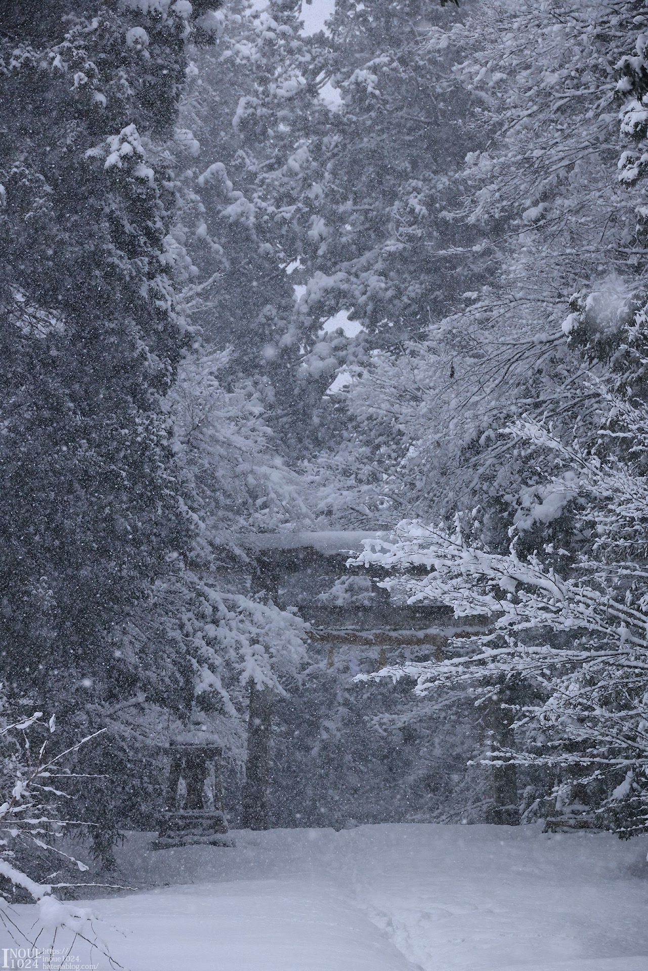 f:id:inoue1024:20210217194006j:plain