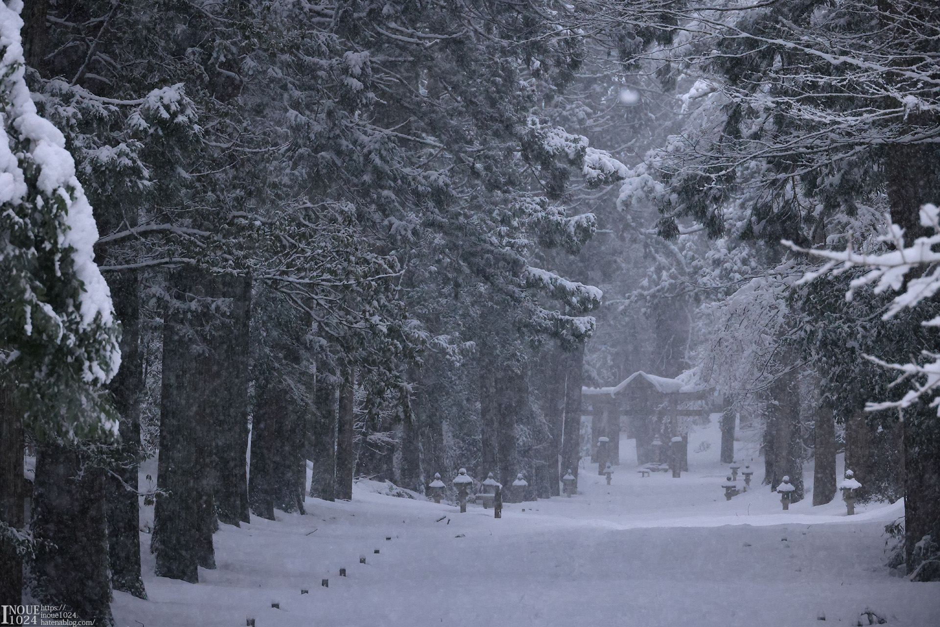 f:id:inoue1024:20210217194012j:plain