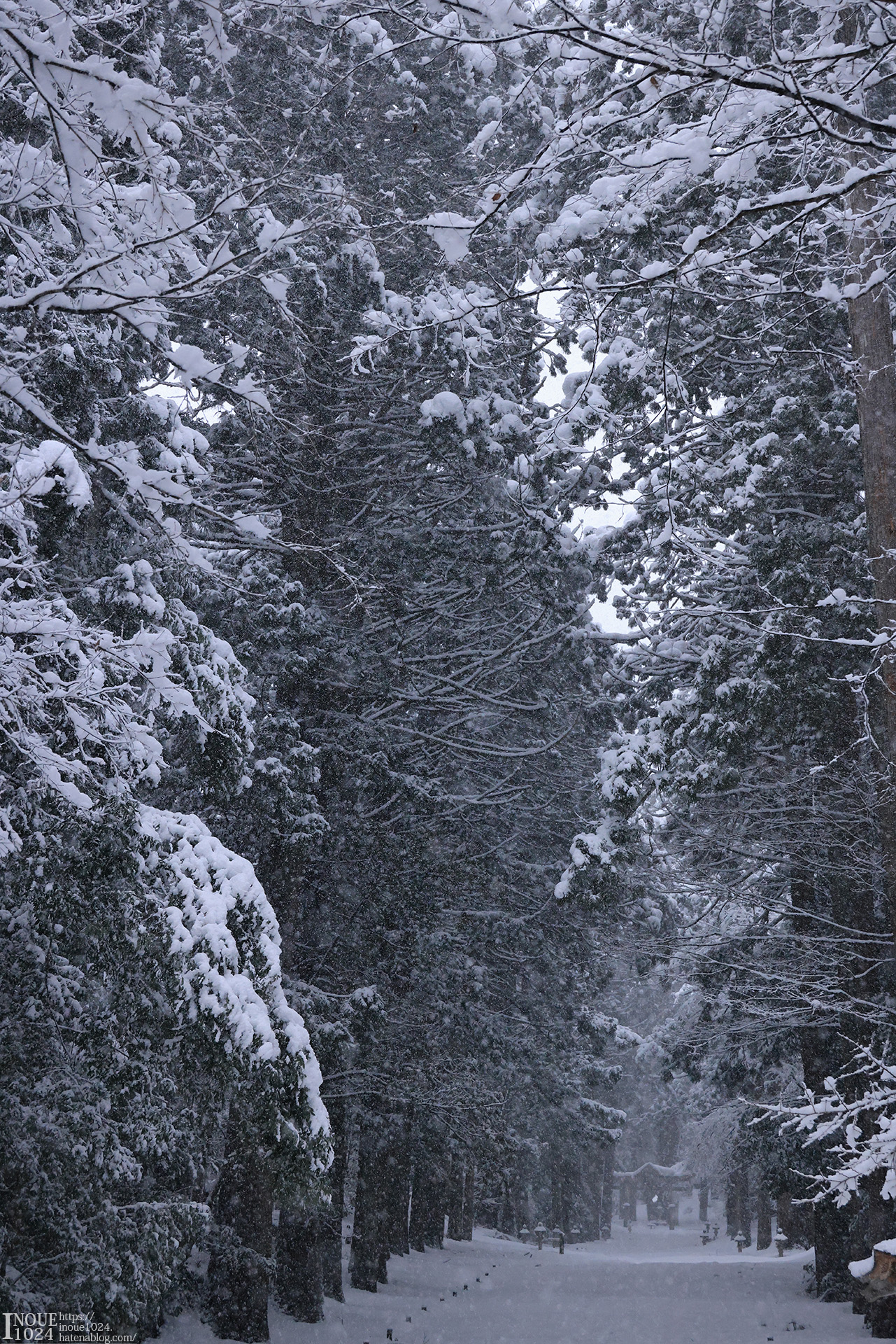 f:id:inoue1024:20210217194019j:plain