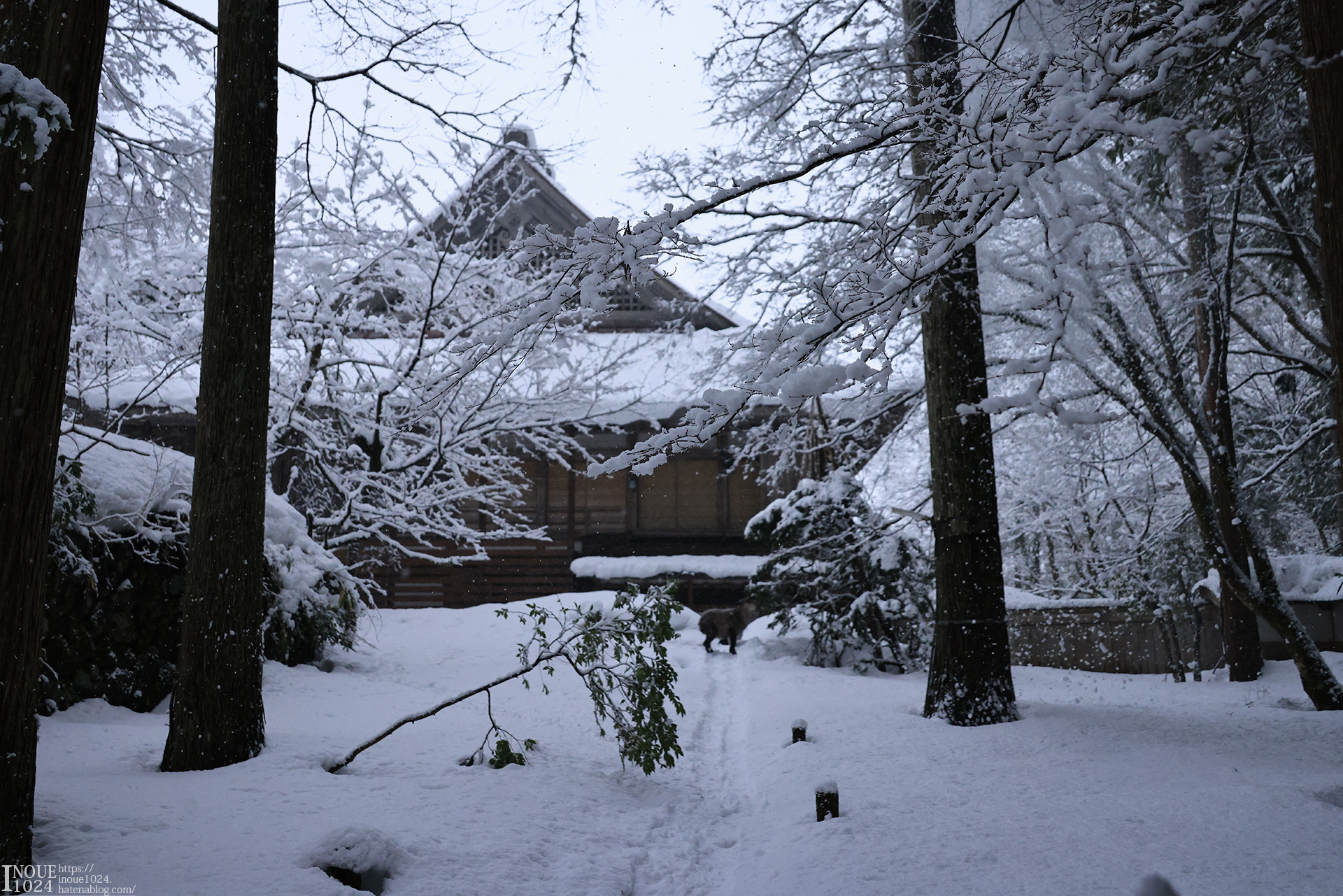 f:id:inoue1024:20210217194026j:plain