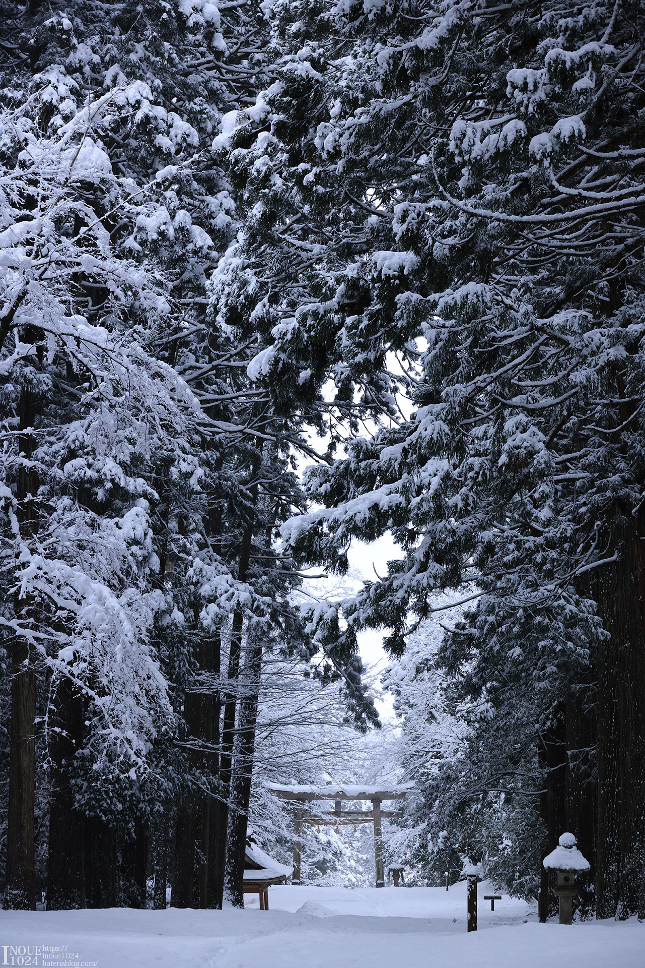 f:id:inoue1024:20210217194046j:plain