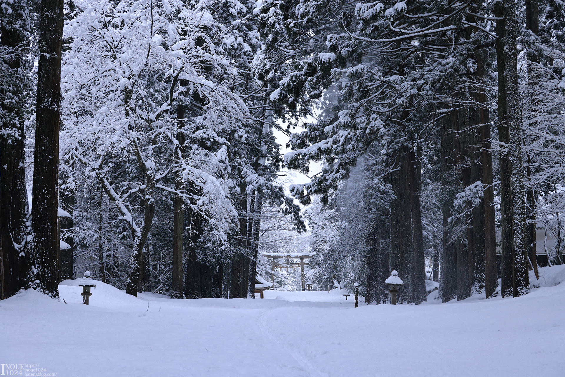 f:id:inoue1024:20210217194053j:plain