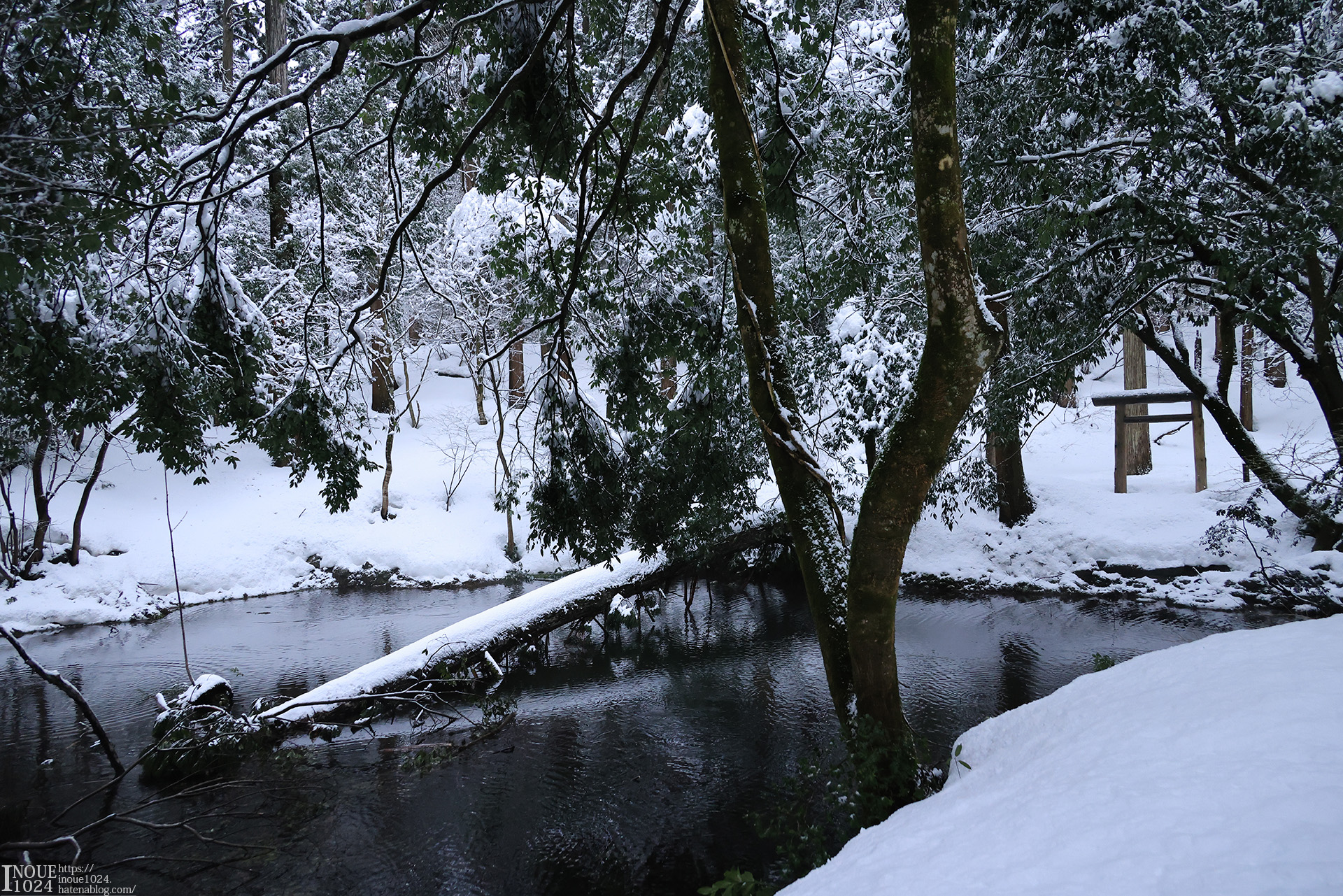 f:id:inoue1024:20210217194111j:plain