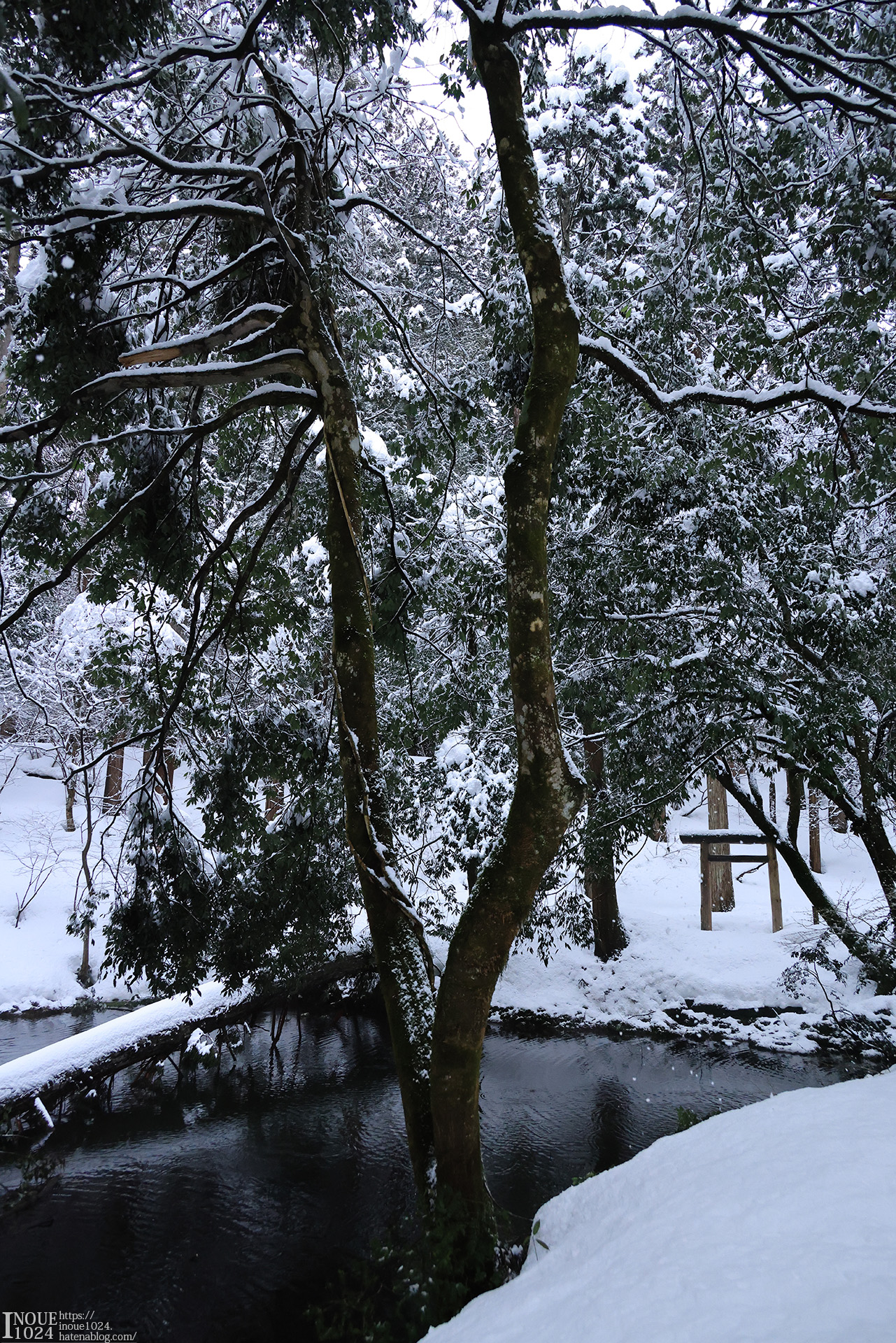 f:id:inoue1024:20210217194117j:plain