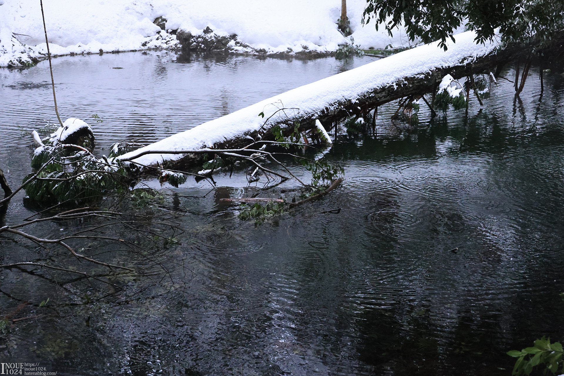 f:id:inoue1024:20210217194123j:plain