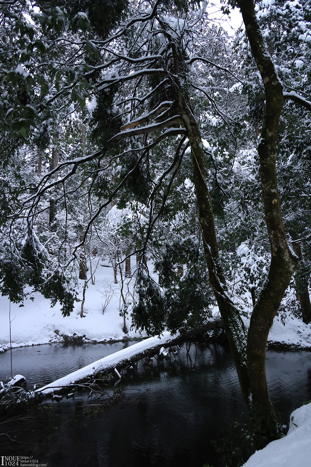 f:id:inoue1024:20210217194130j:plain