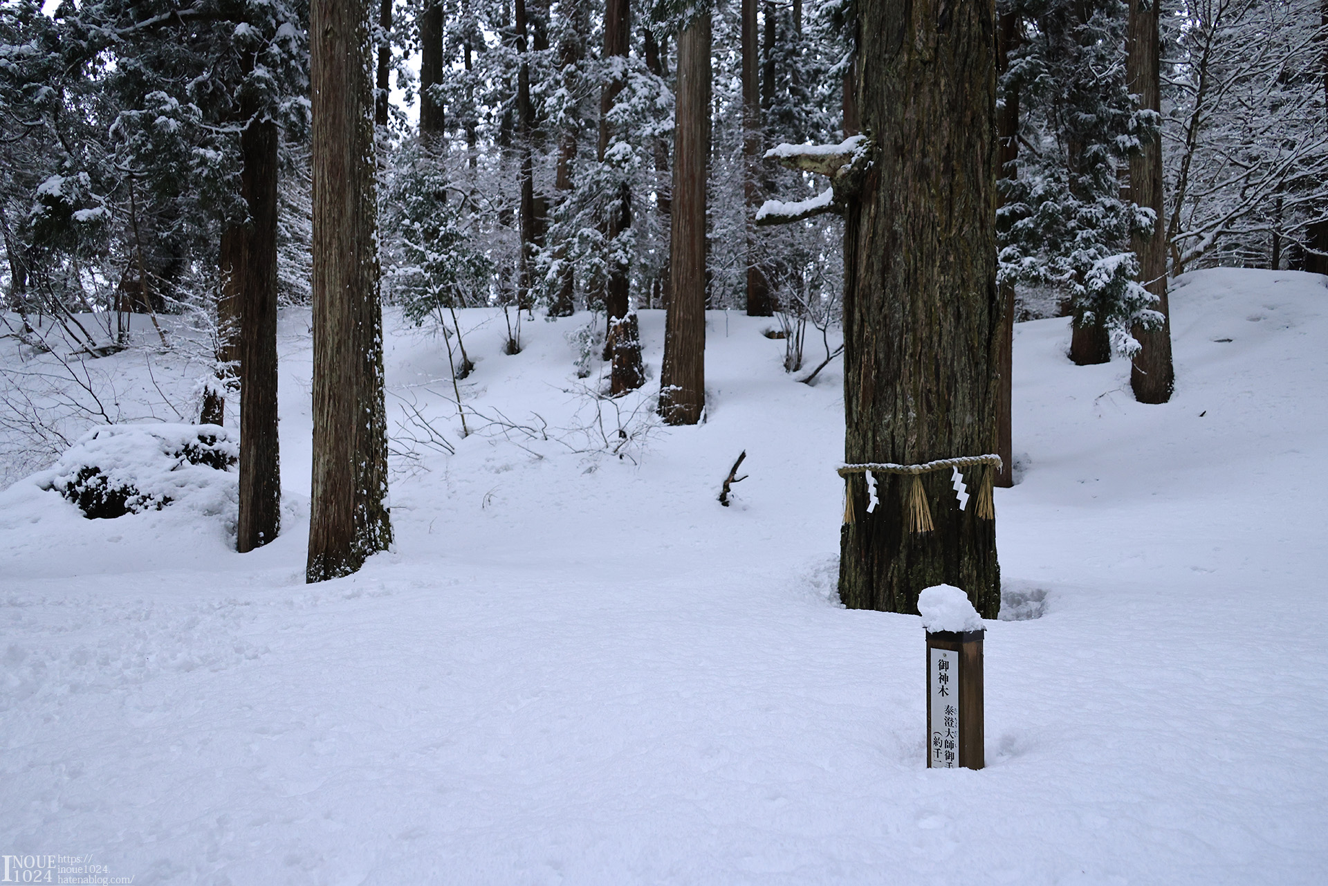 f:id:inoue1024:20210217194136j:plain