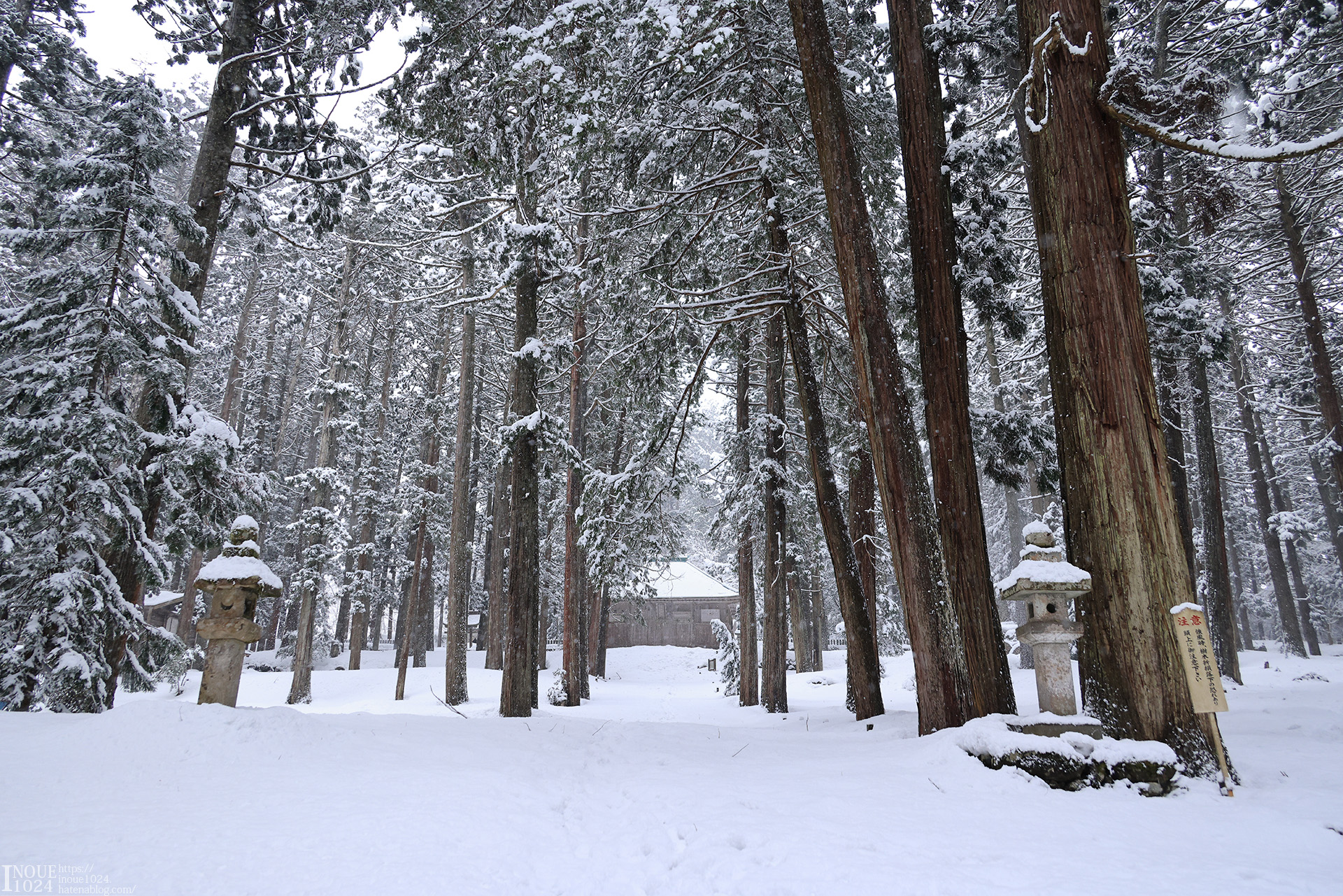 f:id:inoue1024:20210217194201j:plain