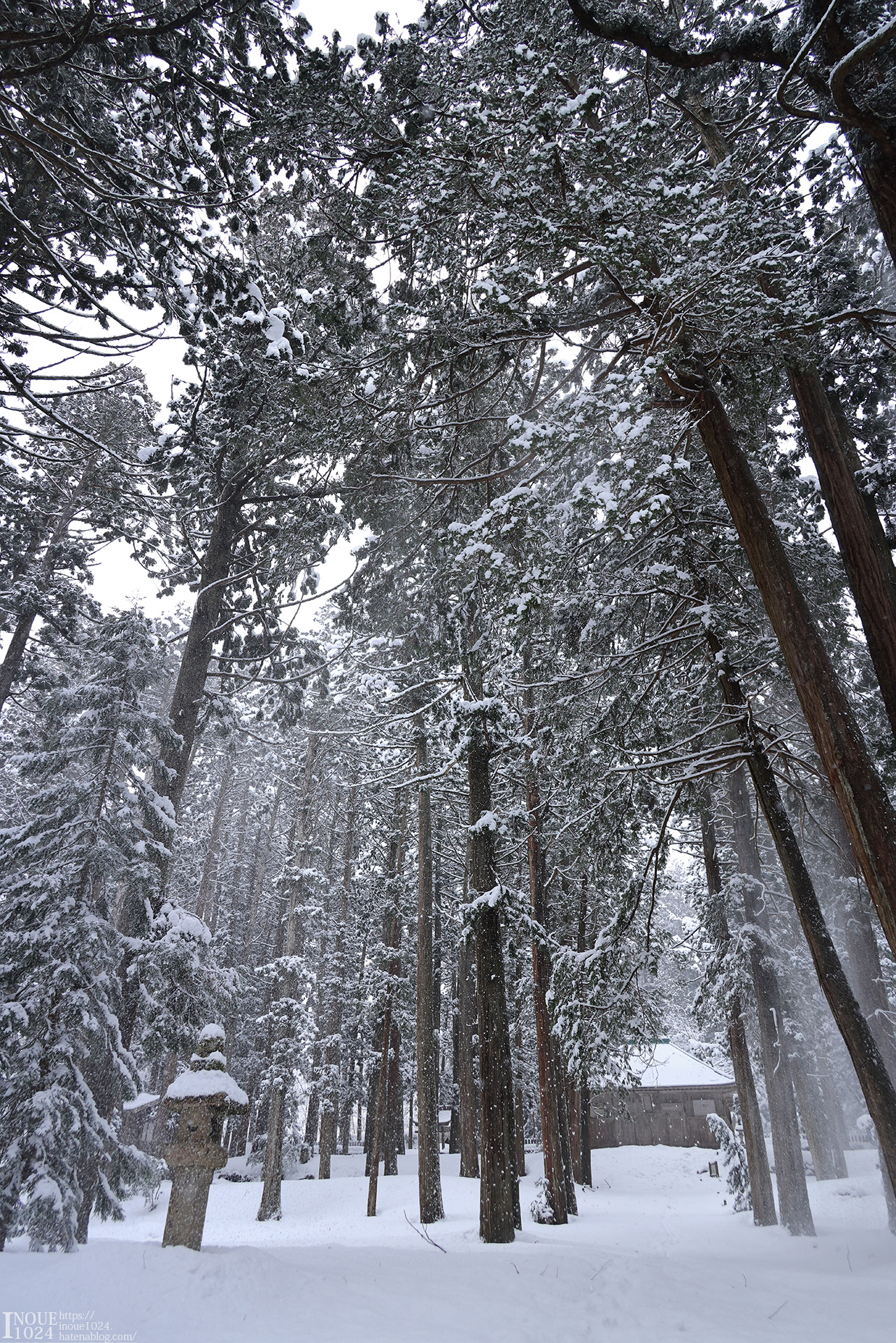 f:id:inoue1024:20210217194207j:plain