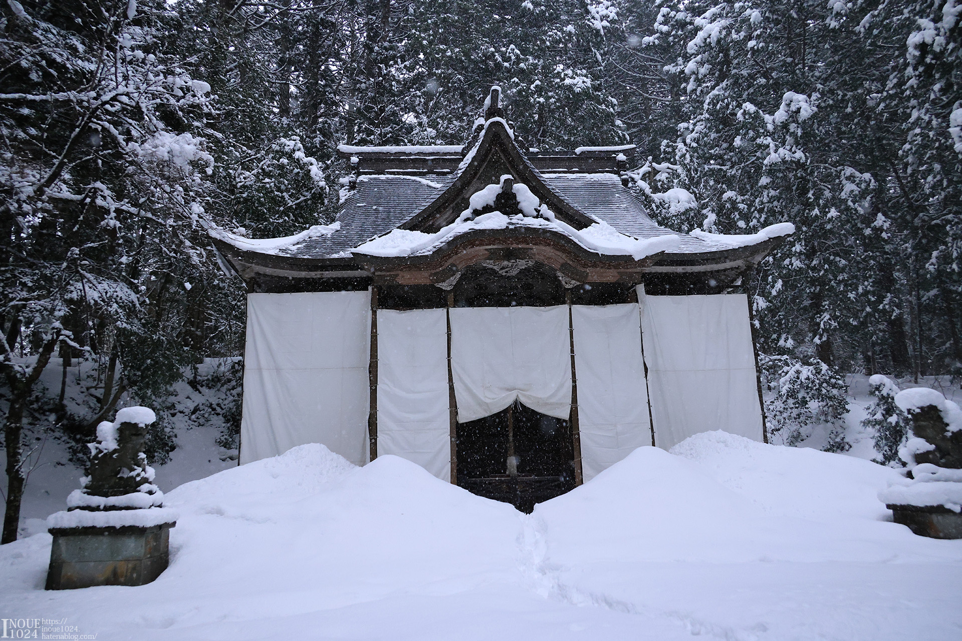 f:id:inoue1024:20210217194251j:plain