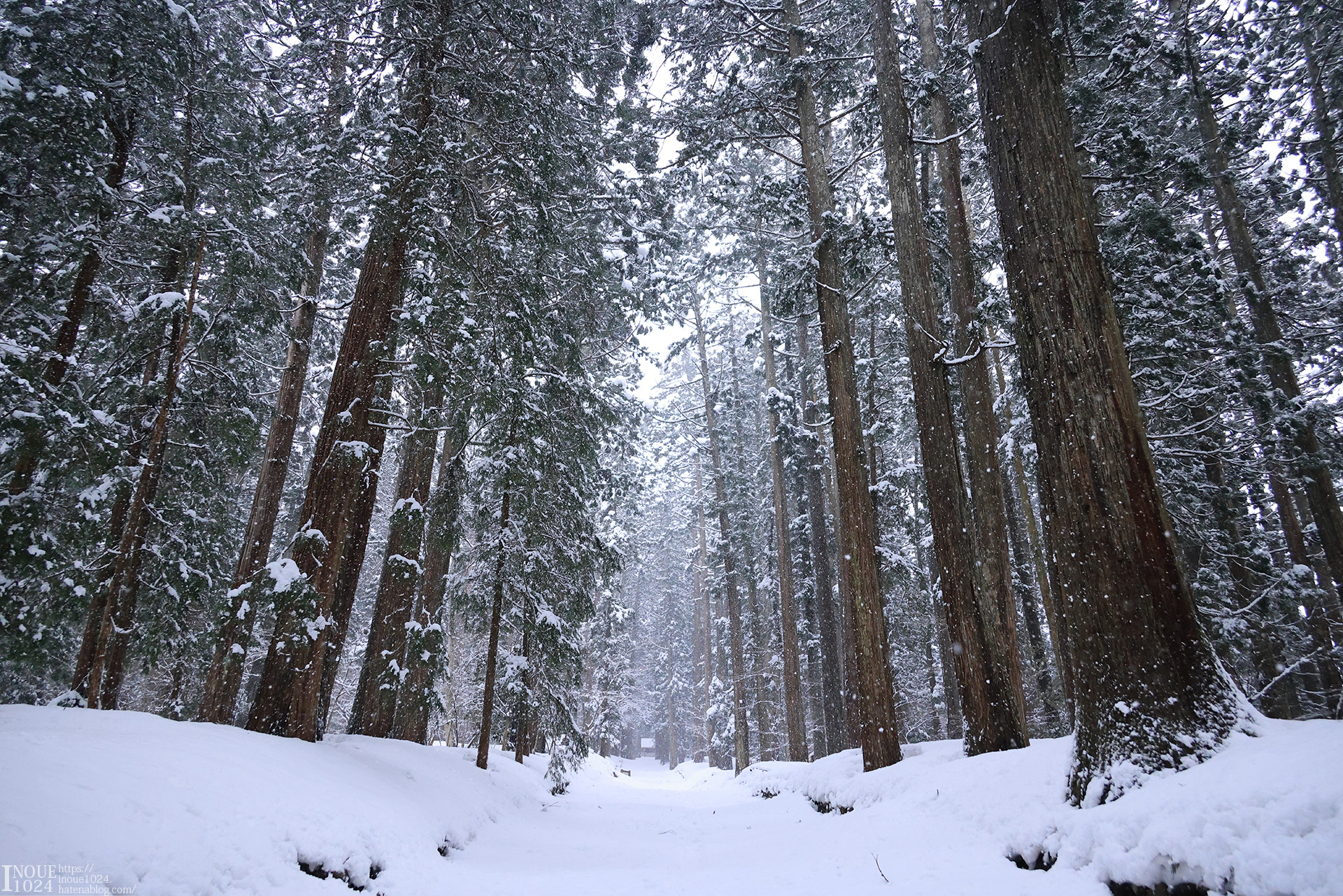 f:id:inoue1024:20210217194333j:plain