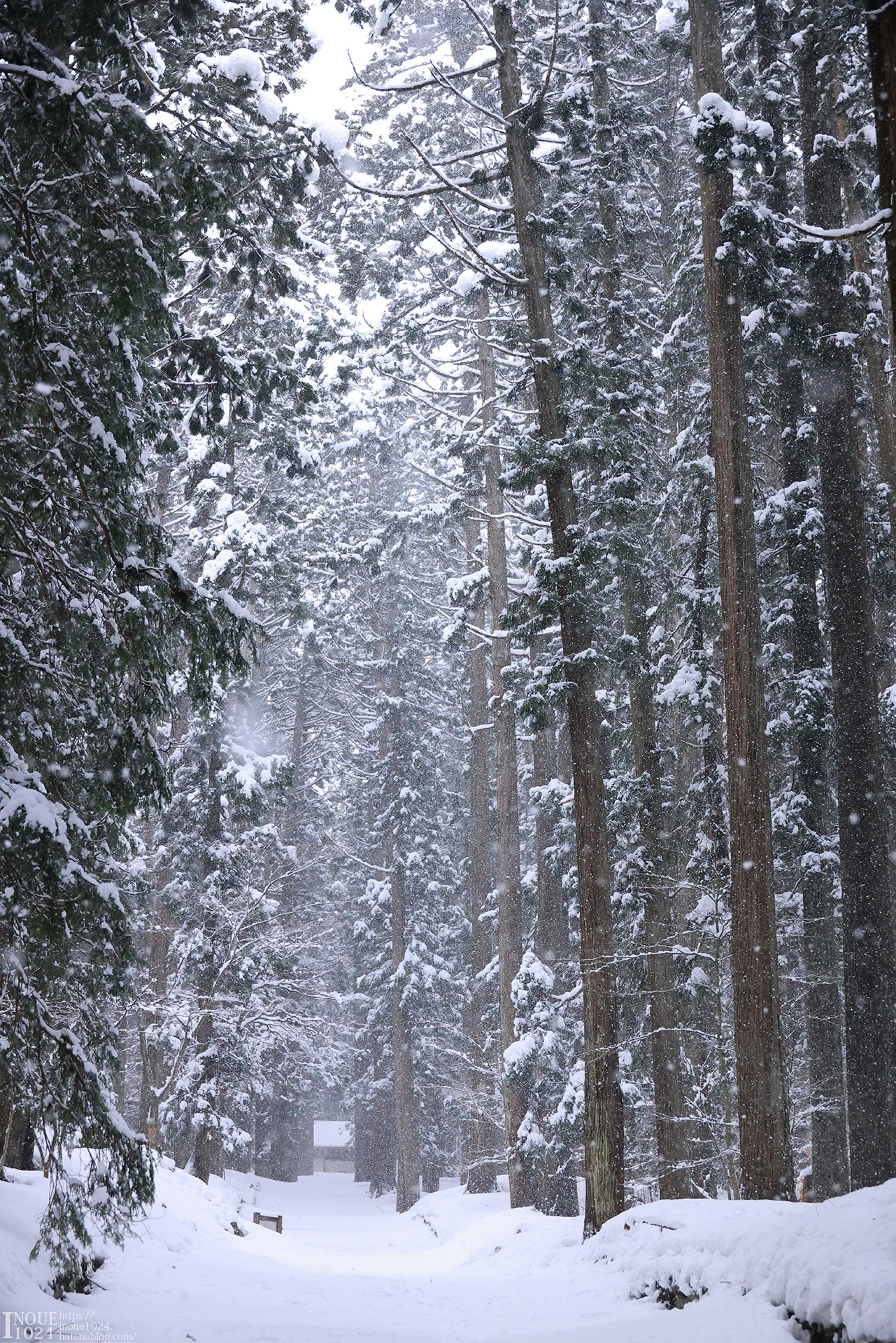 f:id:inoue1024:20210217194339j:plain