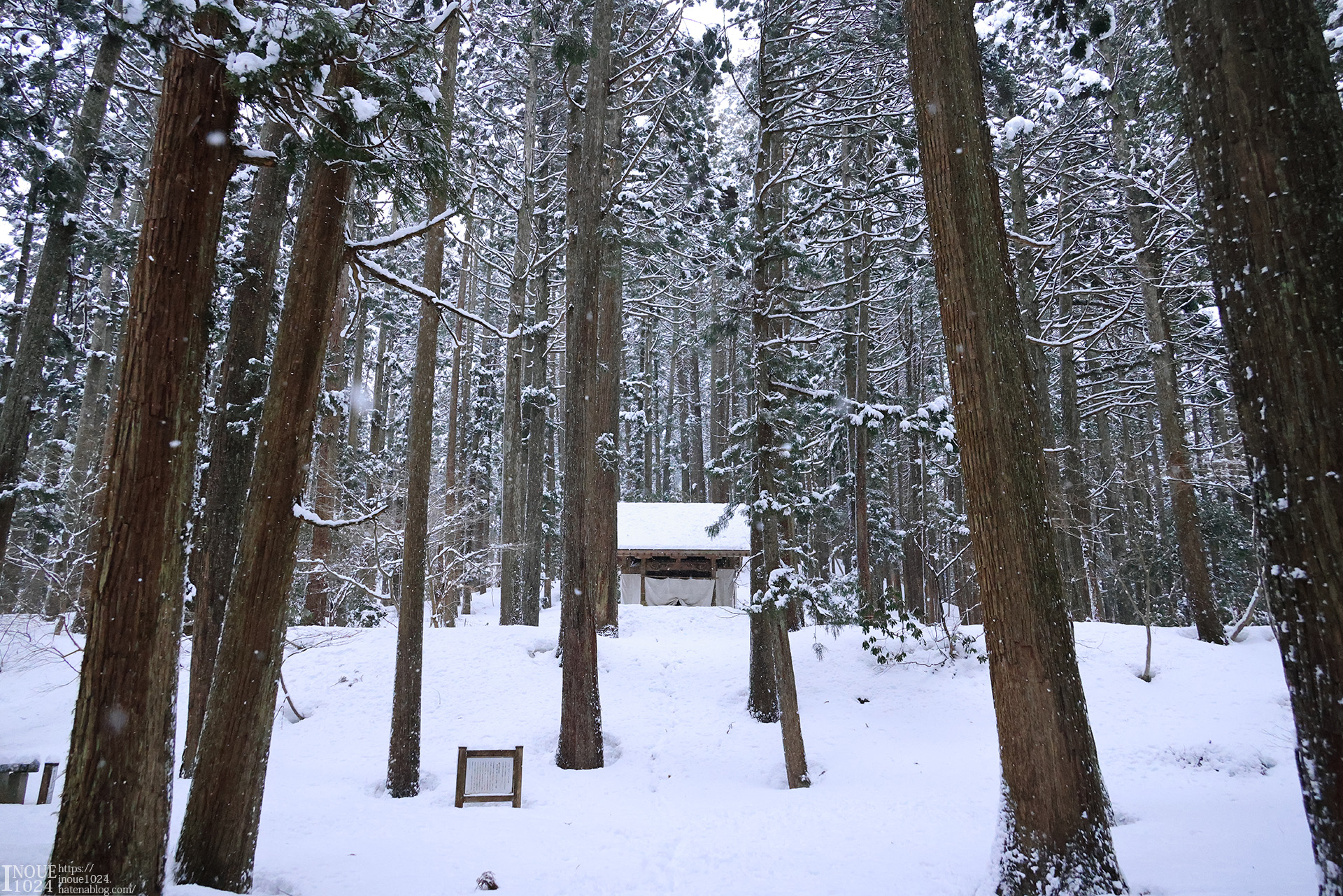 f:id:inoue1024:20210217194345j:plain