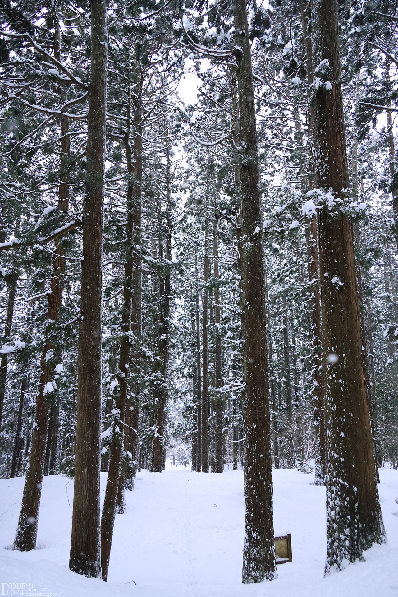 f:id:inoue1024:20210217194351j:plain