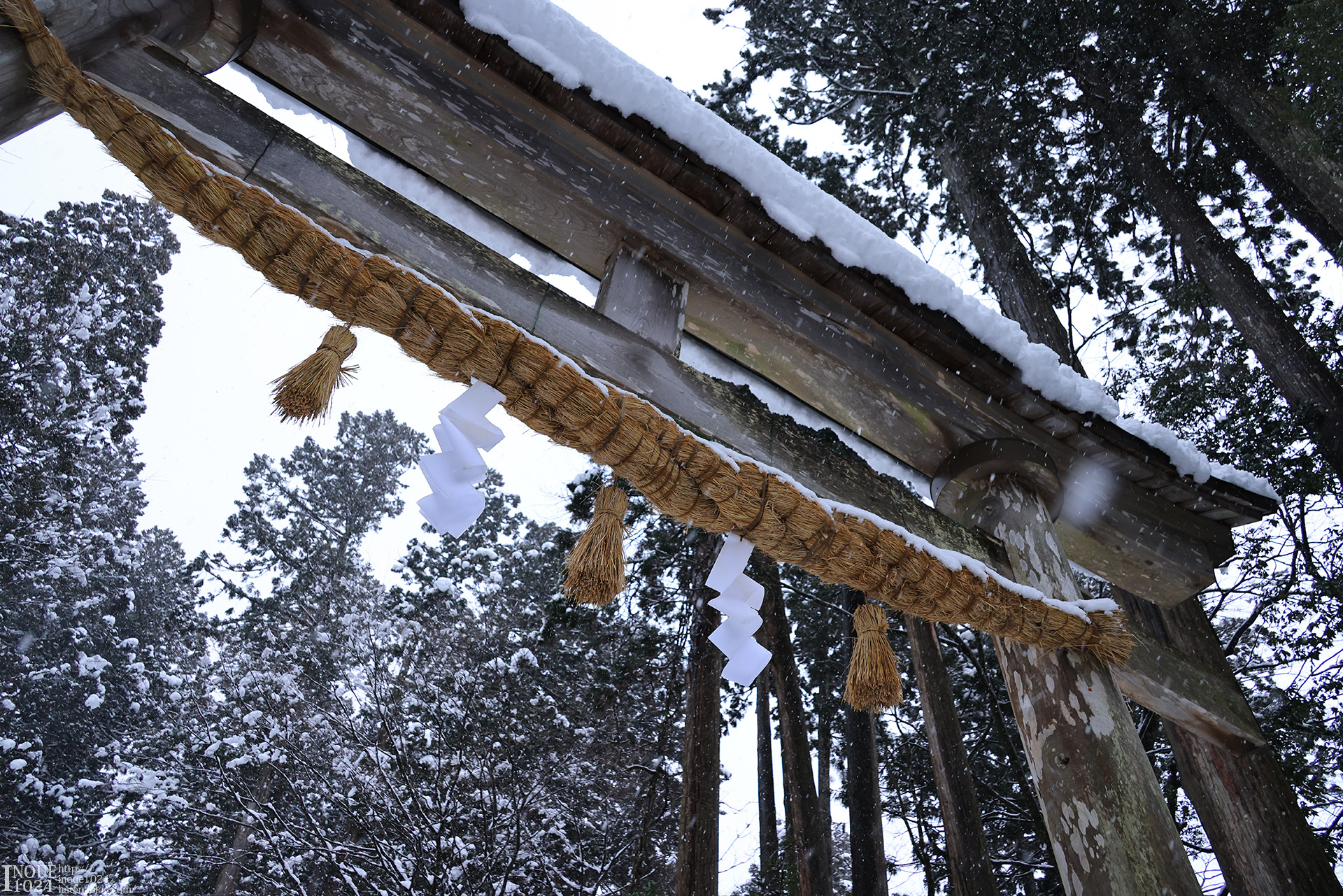 f:id:inoue1024:20210217194545j:plain