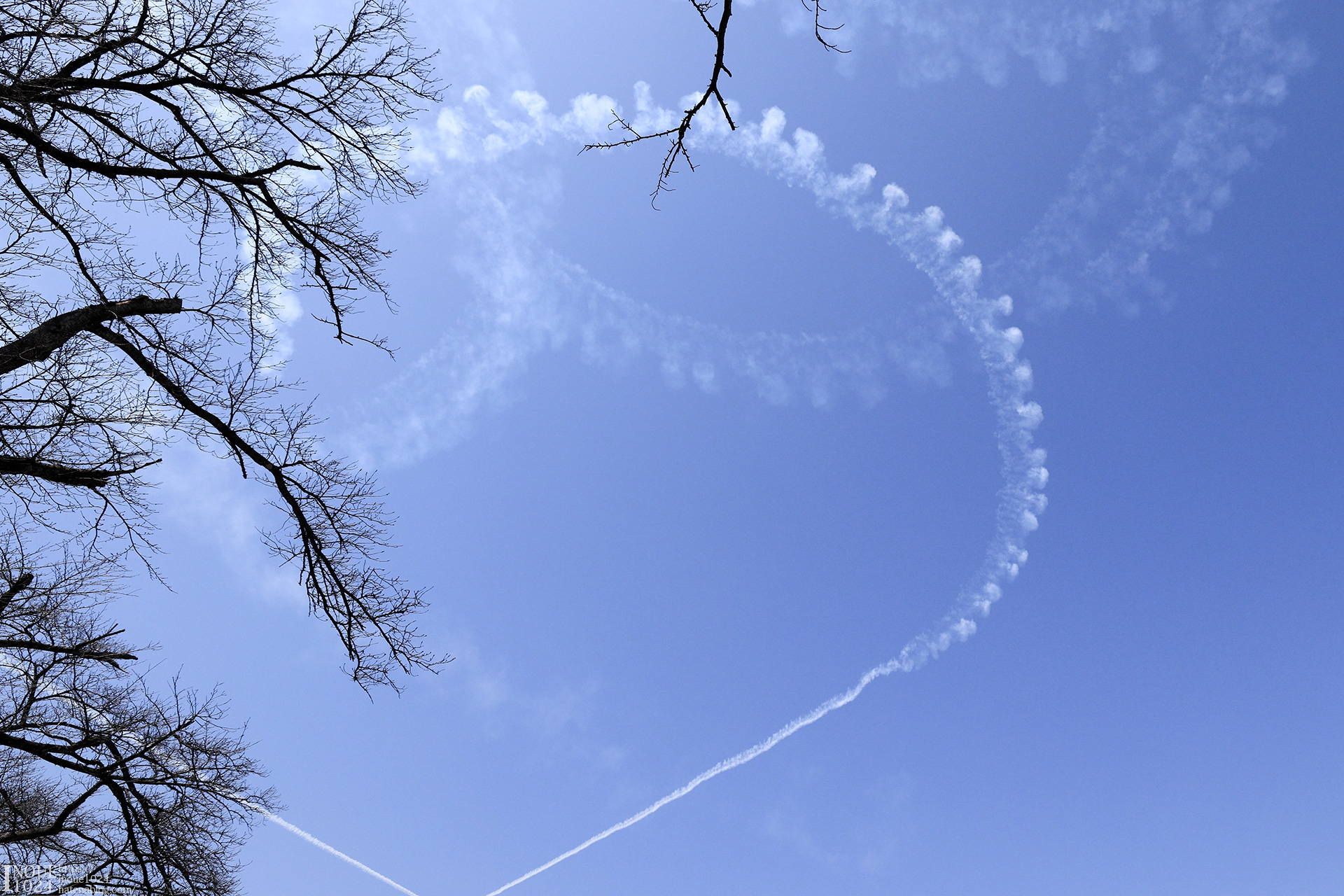 ブルーインパルス展示飛行