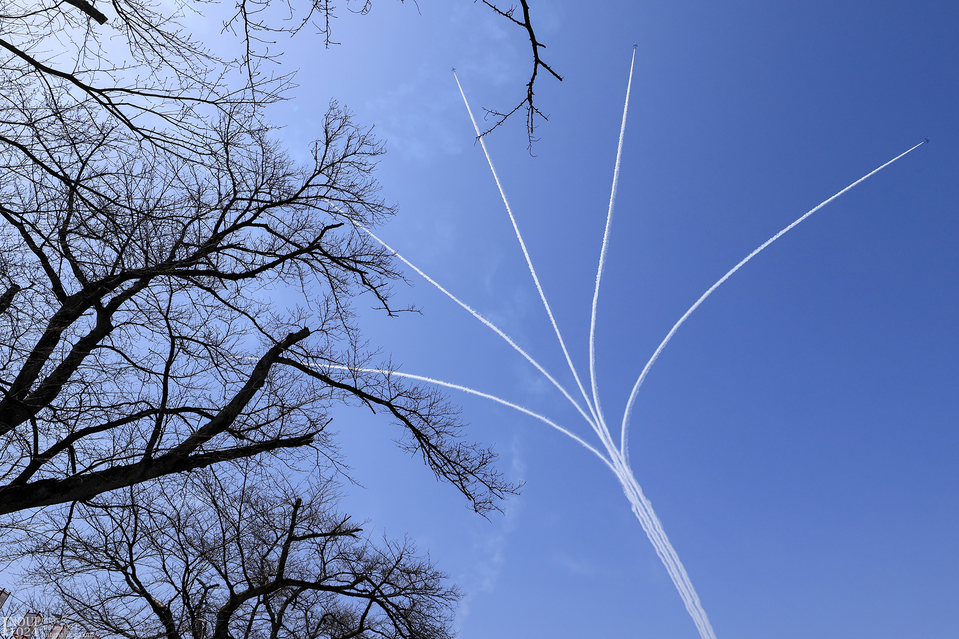 ブルーインパルス展示飛行