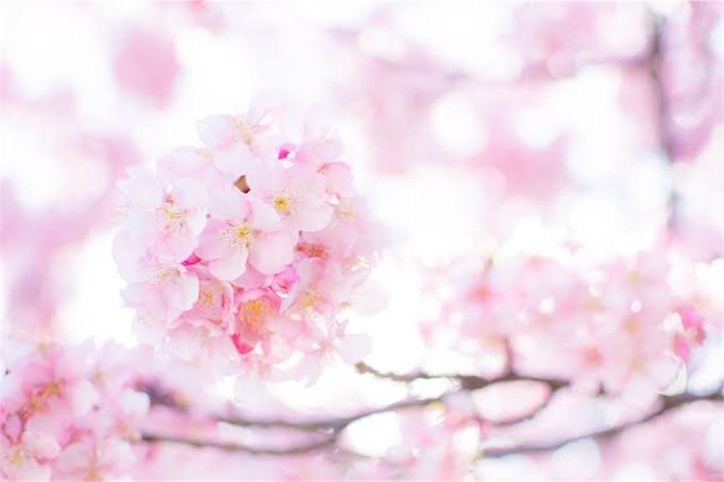f:id:inoue_kensei:20200612180849j:image