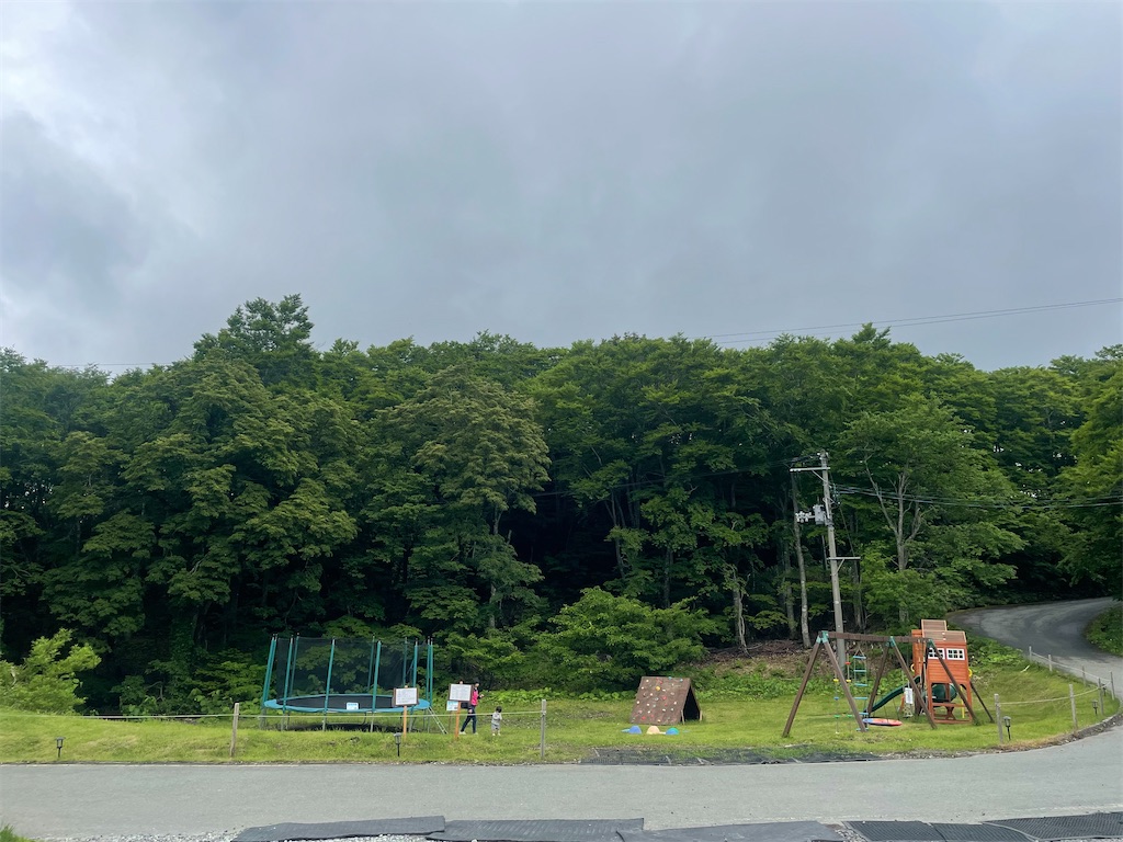 f:id:inoutputt:20240221175509j:image
