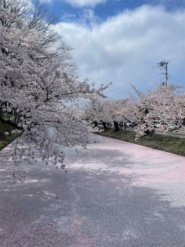 f:id:inoutputt:20250121205605j:image