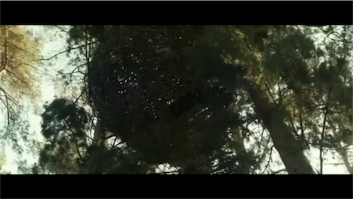 f:id:inox07230:20170505180452p:image