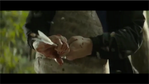 f:id:inox07230:20170505181757p:image