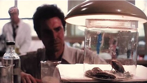 f:id:inox07230:20190813051419j:image f:id:inox07230:20190813051419j:image