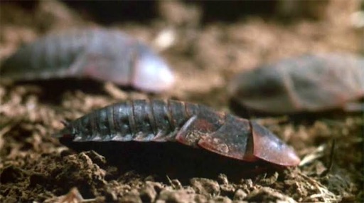 f:id:inox07230:20190814104749j:image f:id:inox07230:20190814104749j:image