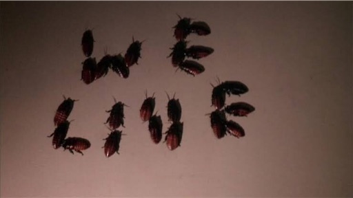 f:id:inox07230:20190814104902j:image f:id:inox07230:20190814104902j:image