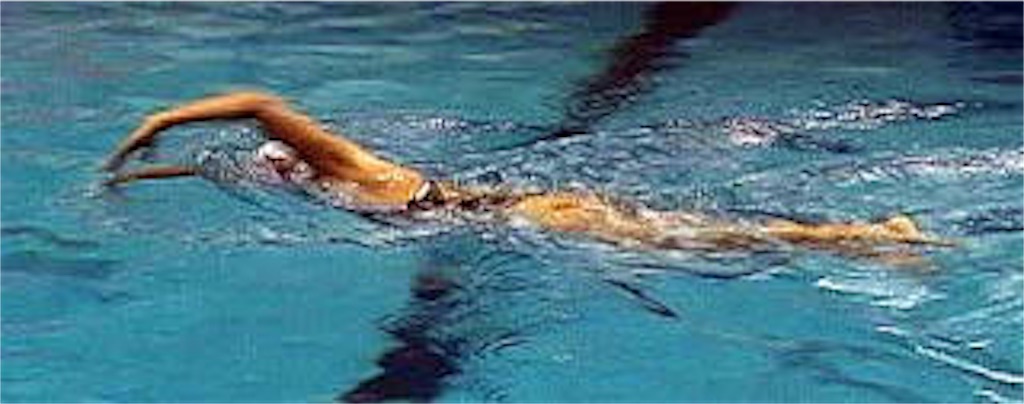 f:id:inoyuswim:20180423022457j:image f:id:inoyuswim:20180423022457j:image