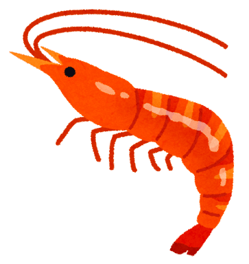 Shrimp エビ が持つ差別的意味と笑い Shrimp エビ が持つ差別的意味と笑い
