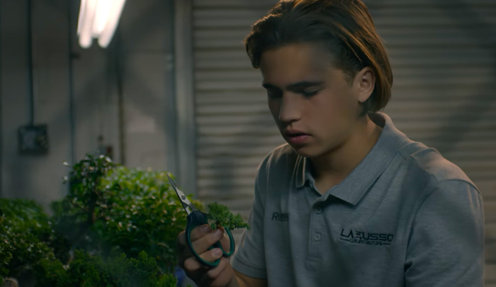 f:id:insaneway:20190527215340j:plain f:id:insaneway:20190527215340j:plain