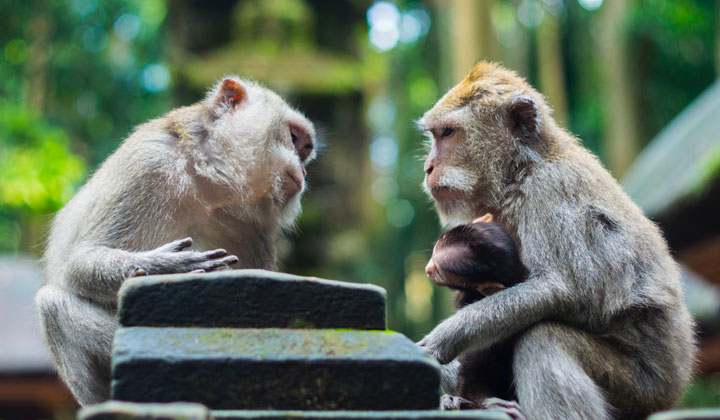 f:id:insaneway:20190923204104j:plain