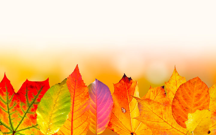 f:id:insaneway:20191016015024j:plain