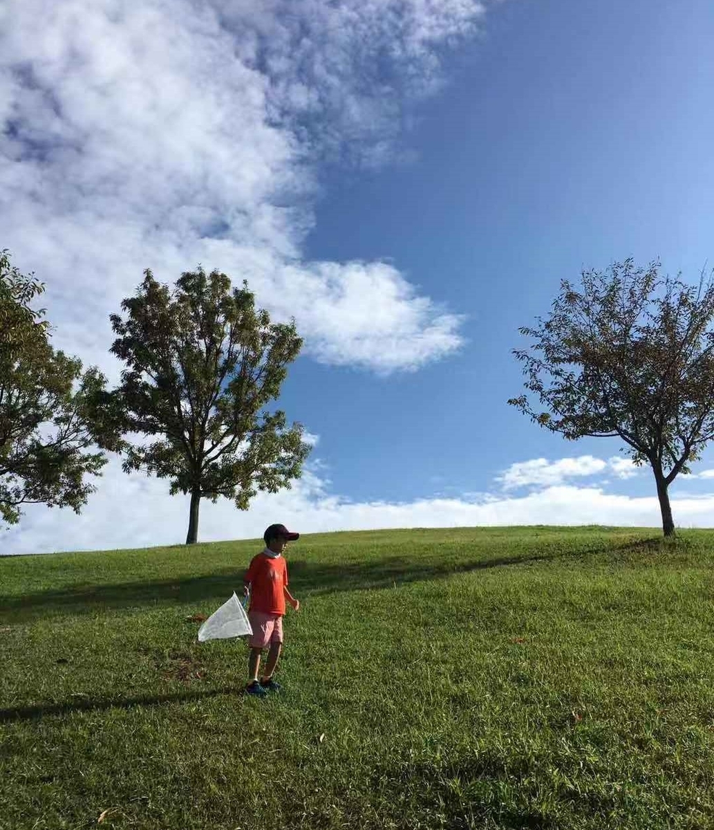 f:id:insect-hunting:20191025031705j:plain