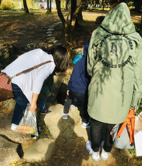 f:id:insect-hunting:20191107162152j:plain