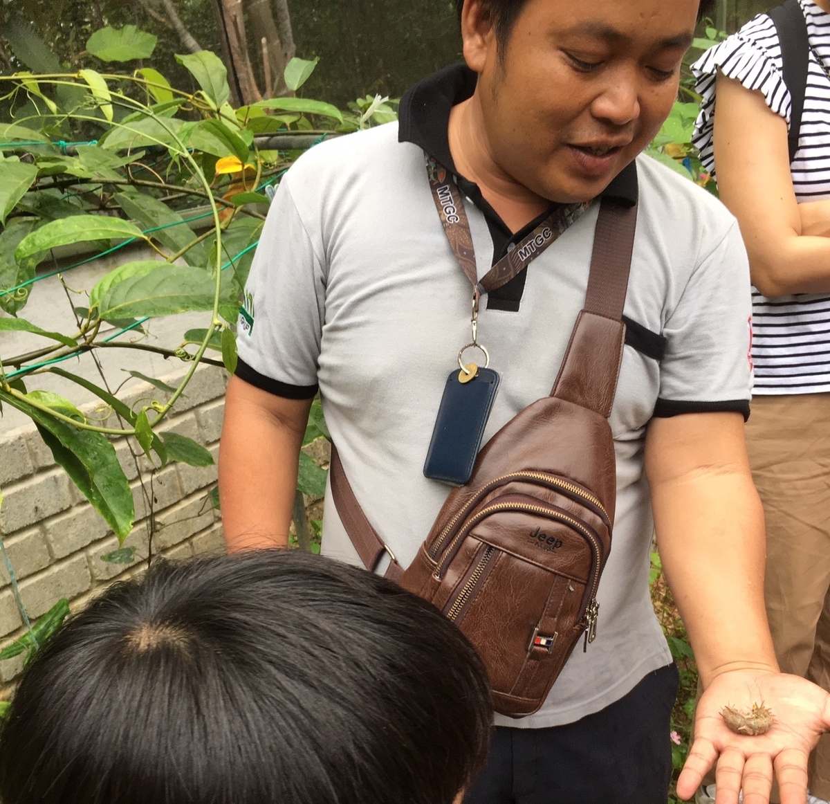 f:id:insect-hunting:20200209214438j:plain