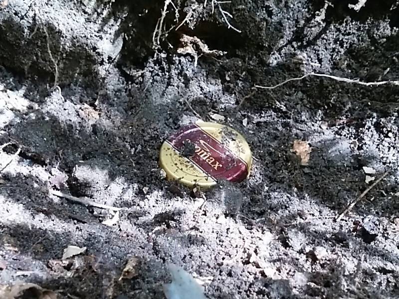 f:id:insectmoth:20170102185854j:plain f:id:insectmoth:20170102185854j:plain